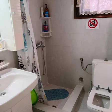 Golden Summer 펜션