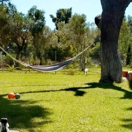 Golden Summer בית נופש